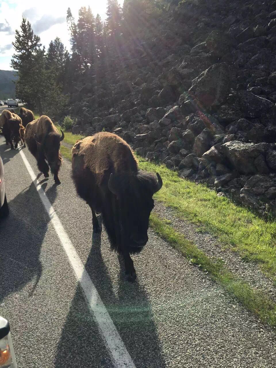 [Silver] 5-Day Tour across Missoula, Yellowstone National Park, Grand Teton National Park, and Spokane